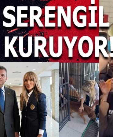 WhatsApp Image 2025-01-24 at 17.51.17