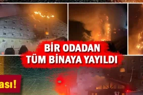 vnsldkvjnj-5zdm_top_headline.jpg