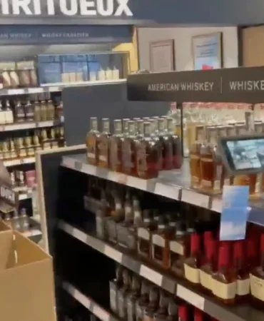 67c7f0fd937b6355__w1200xh689