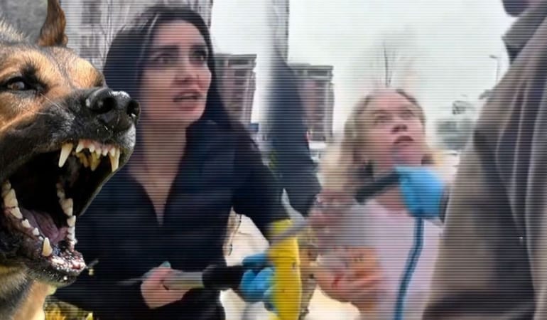 ESENYURT’TA KADINLARIN KÖPEK TOPLAMA KARARINA İSYANI: “KENDİMİ ÖLDÜRÜRÜM”