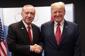 67f7ee5fb17b8788