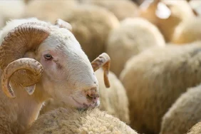 68072f7c782365f6b486ce49