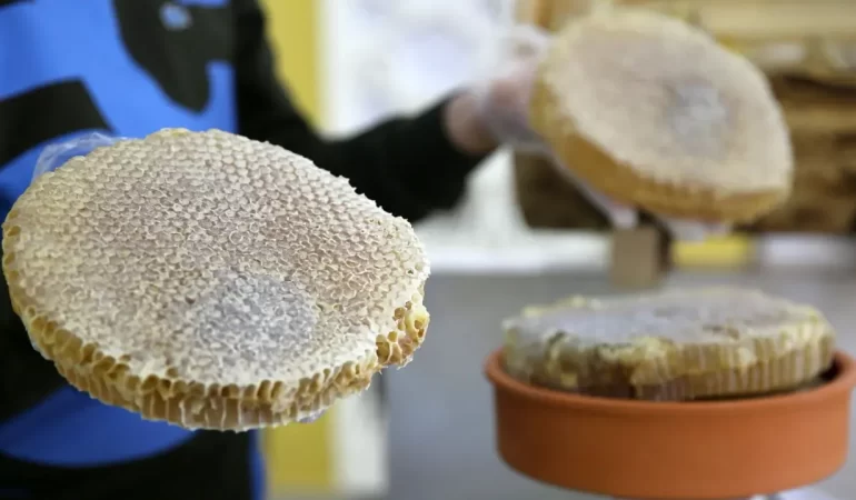 BİTLİS BALI, PARİS’TE “ALTIN BAL” ÖDÜLÜNÜ KAZANDI