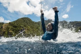 6825f860570b8528__w1200xh837