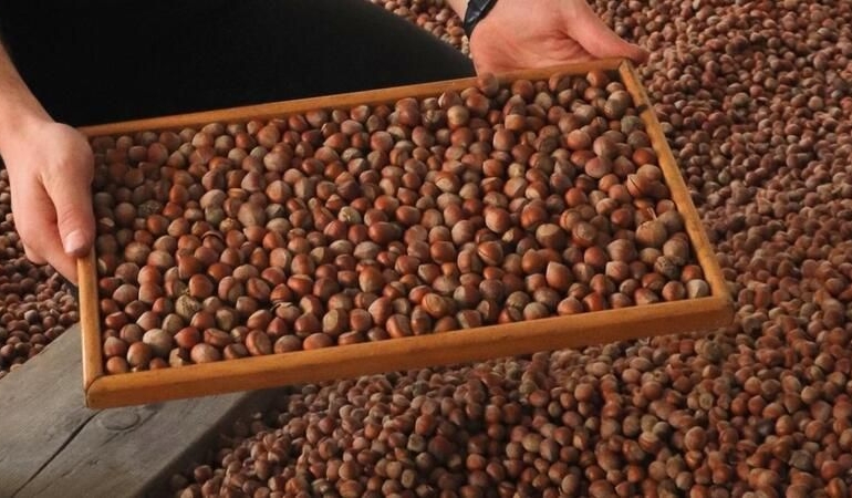 FINDIK DEVİ FİSKOBİRLİK İFLASIN EŞİĞİNDE: 87 YILLIK TARİH SATIŞA ÇIKIYOR