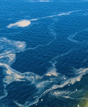 istanbul-kinaliada-aciklarinda-musilaj-alarmi-1746723825-304_large