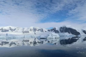 6866390dc7da4452__w1200xh675