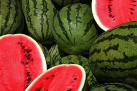 aradaki-fark-saskina-ugratti-karpuz-halde-1-markette-14-lira-pxfd