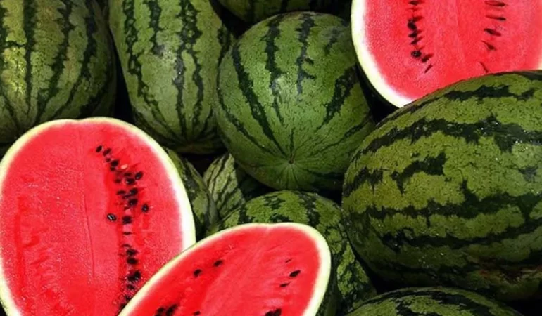 Karpuzda Plansız Ekim Fiyatları Vurdu: Tüketici de Üretici de Mağdur