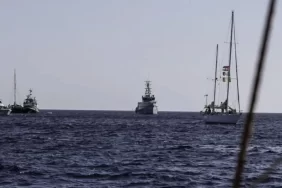 68db811fd41d9515__w1200xh663