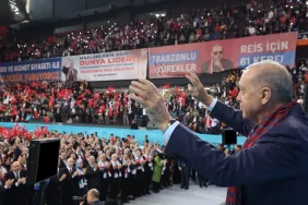 68ebaab7432e2797__w1200xh803