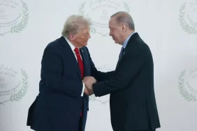 68edc90ab5ea0395__w1200xh884