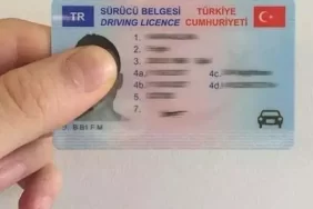 image_870x_6902947e171c2