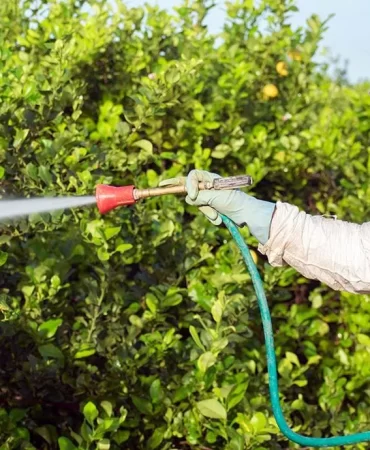 691d71a93a7b8293__w1200xh690