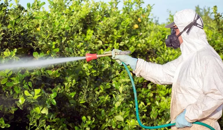 Sağlık İçin Denetim Seferberliği